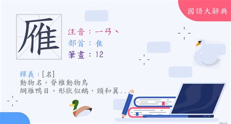 雁部首|漢字:雁 (注音:ㄧㄢˋ,部首:隹) 